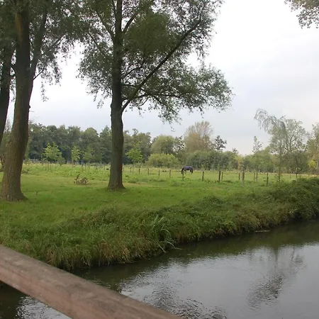 Eindhovennearby *